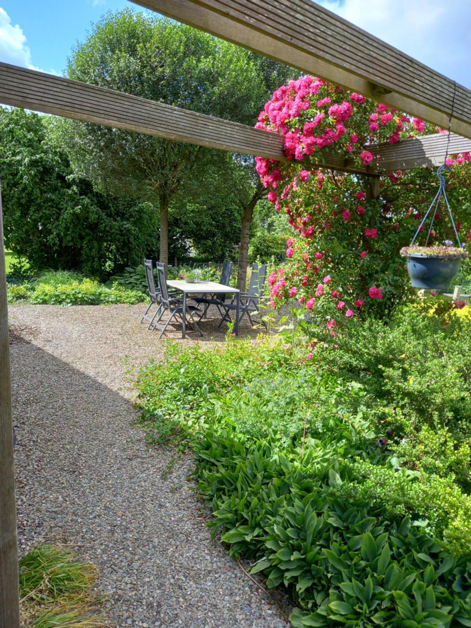 B&B Kleintje Eleveld Екстериор снимка